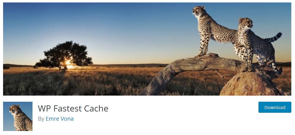 5 Plugin WordPress Caching Pilihan