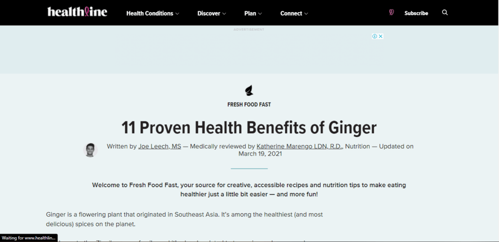 niche blog